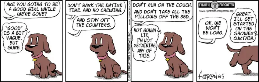 Dog Eat Doug for Aug 05, 2024