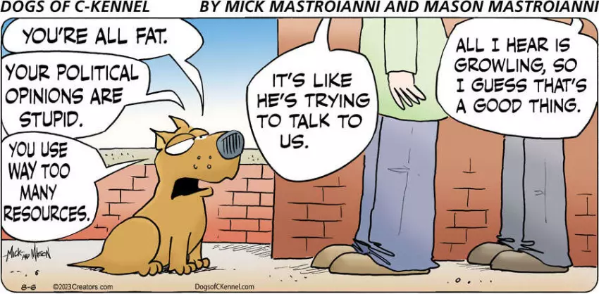Dogs of C-Kennel for Aug 06, 2023