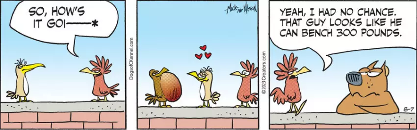 Dogs of C-Kennel for Aug 07, 2023