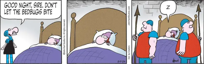 Wizard of Id for Aug 07, 2024