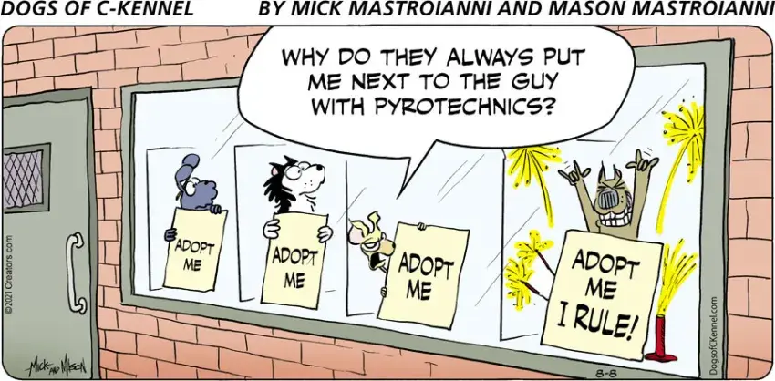 Dogs of C-Kennel for Aug 08, 2021