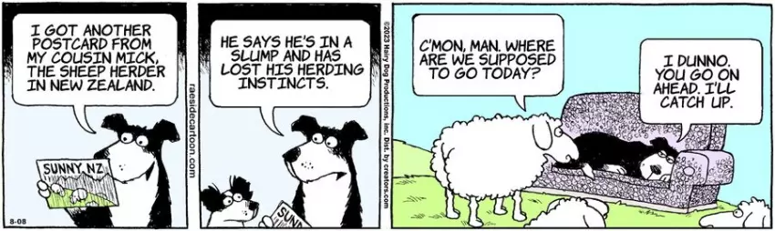 The Other Coast for Aug 08, 2023