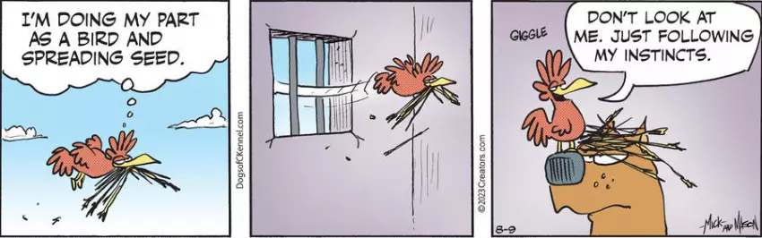 Dogs of C-Kennel for Aug 09, 2023