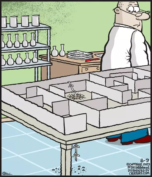 Free Range for Aug 09, 2023