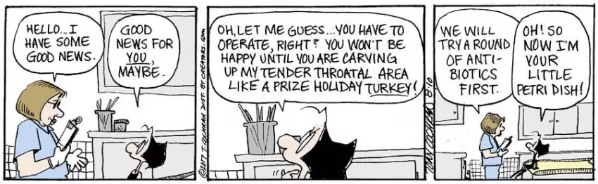 Agnes for Aug 10, 2023