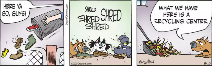 Dogs of C-Kennel for Aug 10, 2023