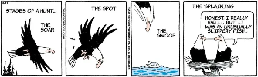 The Other Coast for Aug 11, 2021