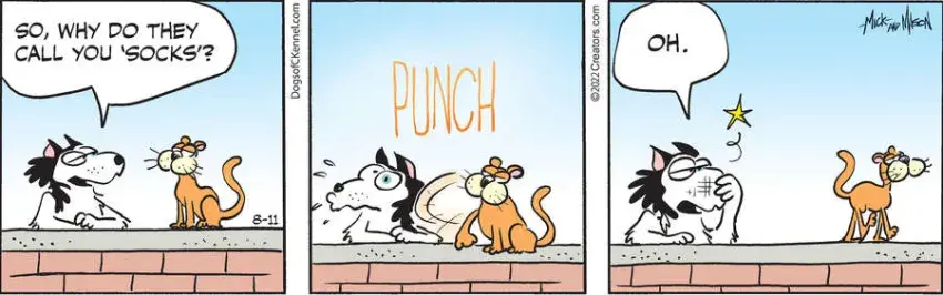 Dogs of C-Kennel for Aug 11, 2022