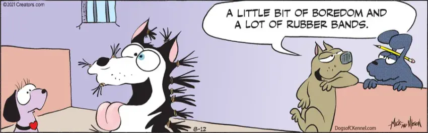 Dogs of C-Kennel for Aug 12, 2021