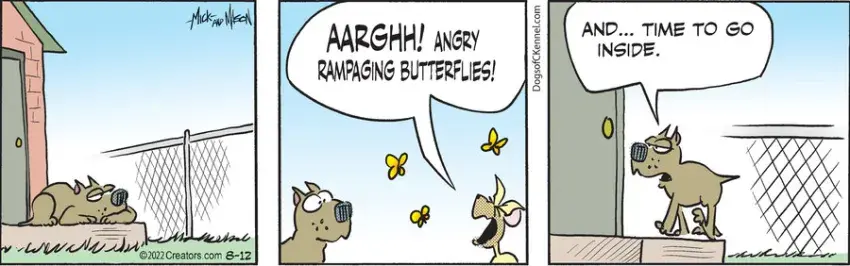 Dogs of C-Kennel for Aug 12, 2022