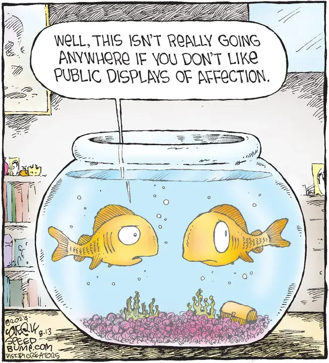 Speed Bump for Aug 13, 2024