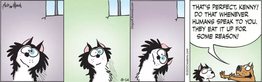 Dogs of C-Kennel for Aug 14, 2023