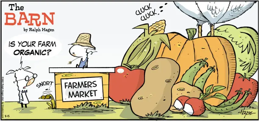 The Barn for Aug 15, 2021