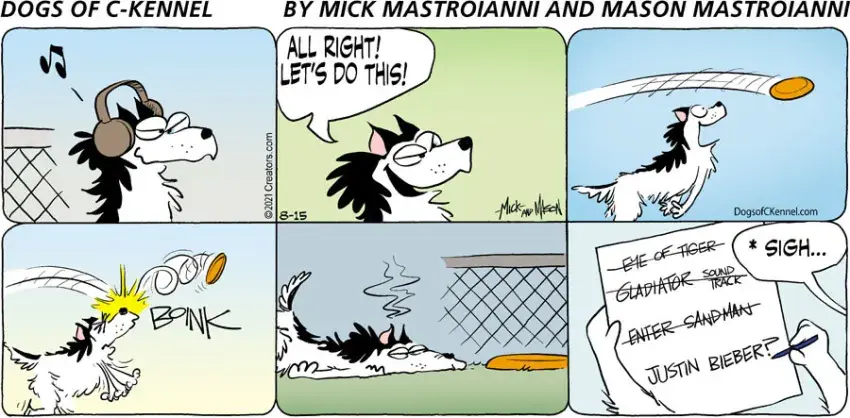 Dogs of C-Kennel for Aug 15, 2021