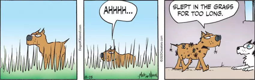 Dogs of C-Kennel for Aug 15, 2023