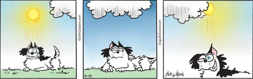 Dogs of C-Kennel for Aug 15, 2024