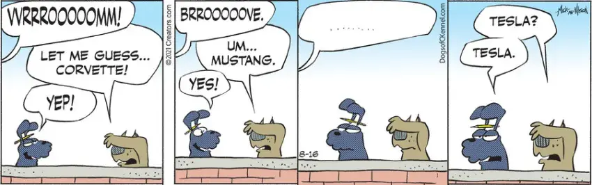 Dogs of C-Kennel for Aug 16, 2021