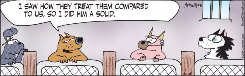 Dogs of C-Kennel for Aug 16, 2023