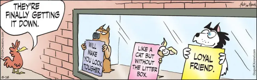 Dogs of C-Kennel for Aug 16, 2024