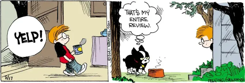 Zack Hill for Aug 17, 2021