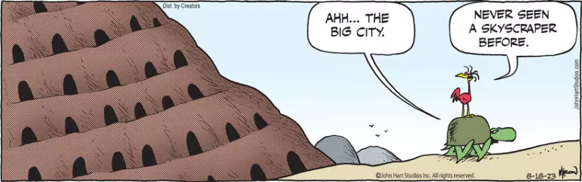 B.C. for Aug 18, 2023