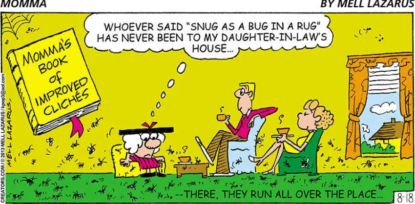 Momma for Aug 18, 2024