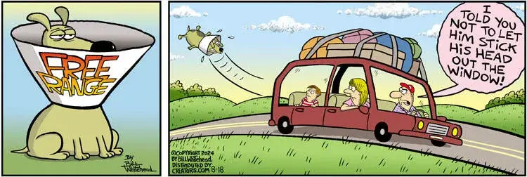 Free Range for Aug 18, 2024