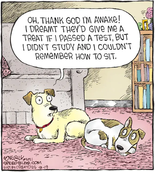 Speed Bump for Aug 19, 2021