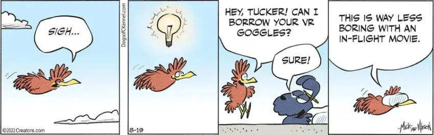 Dogs of C-Kennel for Aug 19, 2022