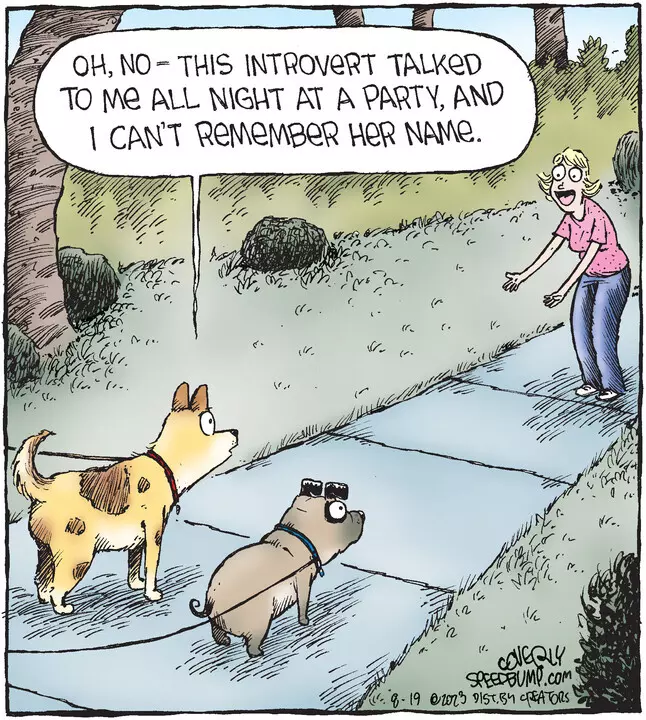 Speed Bump for Aug 19, 2023