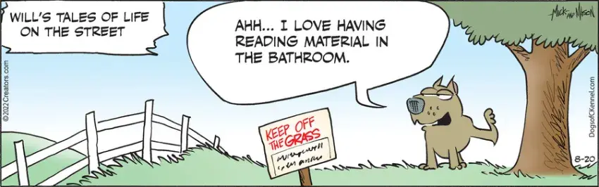 Dogs of C-Kennel for Aug 20, 2022