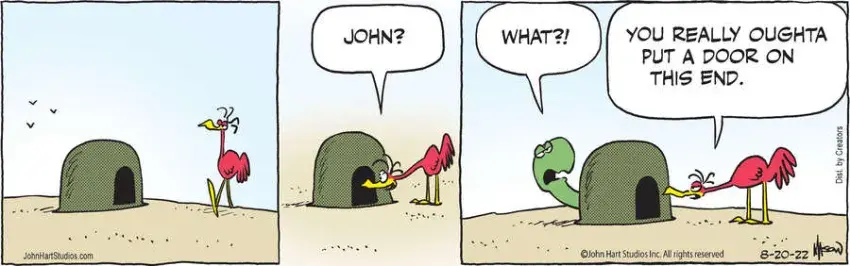 B.C. for Aug 20, 2022