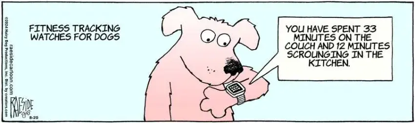 The Other Coast for Aug 20, 2024