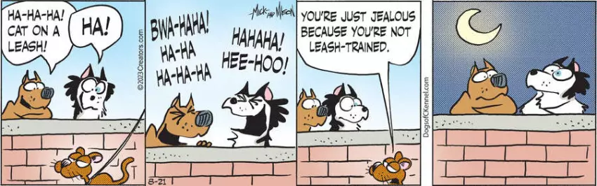 Dogs of C-Kennel for Aug 21, 2023