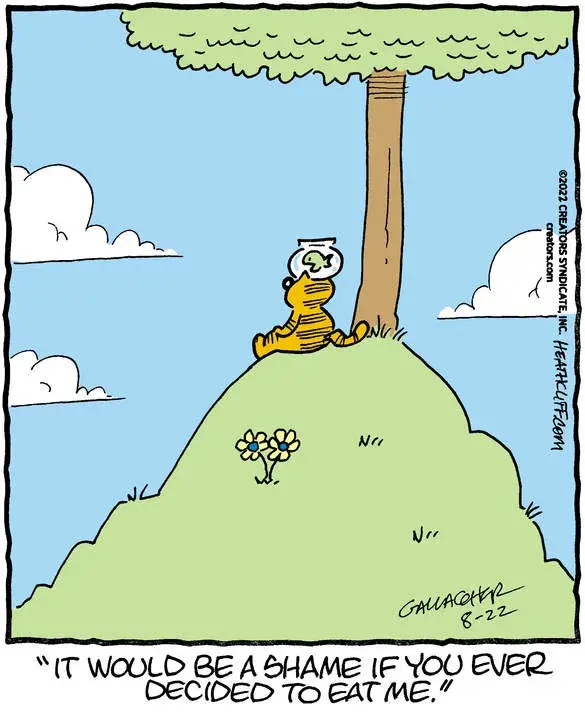 Heathcliff for Aug 22, 2022