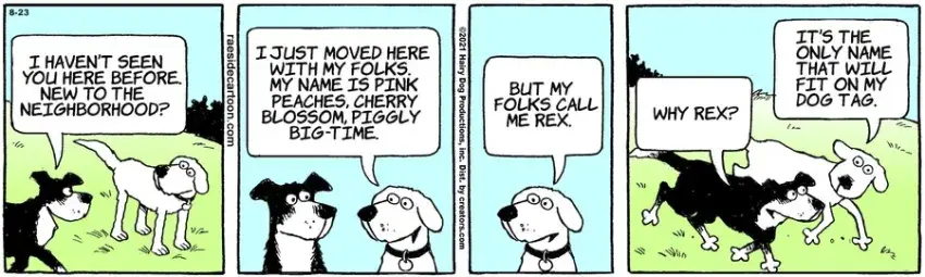 The Other Coast for Aug 23, 2021