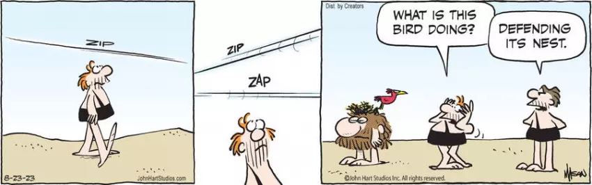 B.C. for Aug 23, 2023