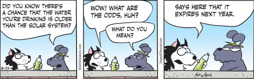 Dogs of C-Kennel for Aug 23, 2023