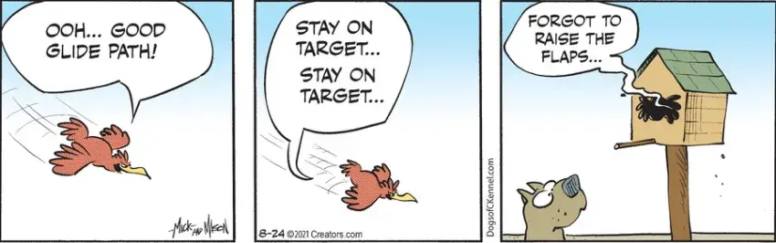 Dogs of C-Kennel for Aug 24, 2021