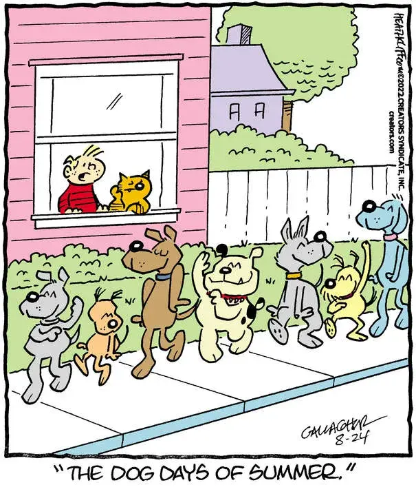 Heathcliff for Aug 24, 2022
