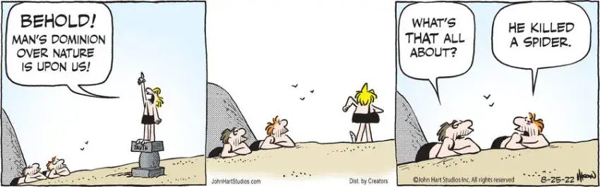 B.C. for Aug 25, 2022