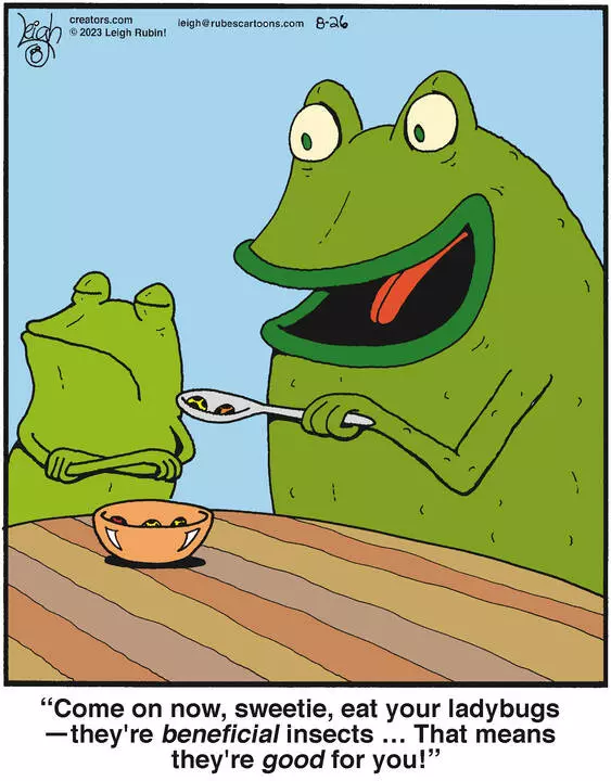 Rubes® for Aug 26, 2023