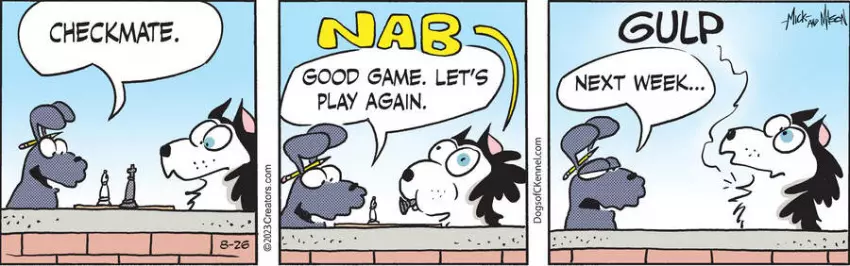 Dogs of C-Kennel for Aug 26, 2023