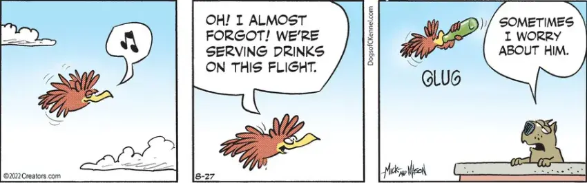 Dogs of C-Kennel for Aug 27, 2022