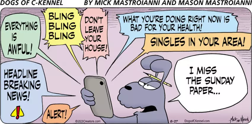 Dogs of C-Kennel for Aug 27, 2023