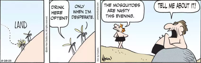 B.C. for Aug 28, 2023