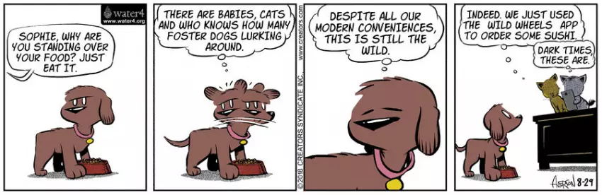 Dog Eat Doug for Aug 29, 2023