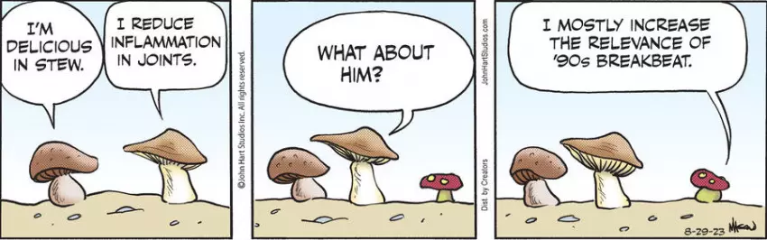 B.C. for Aug 29, 2023