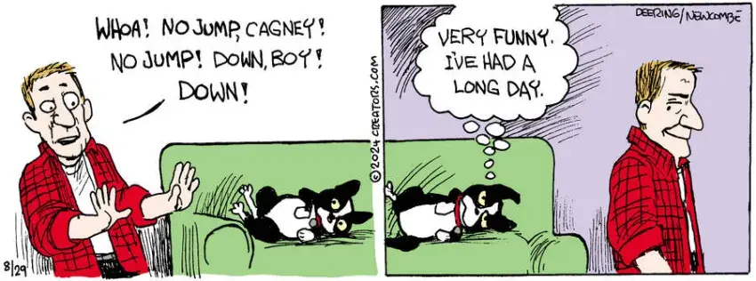 Zack Hill for Aug 29, 2024