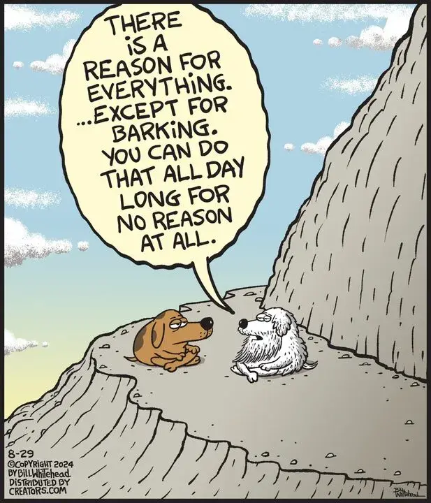 Free Range for Aug 29, 2024